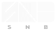 Brand Logo 12